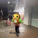 벨로시티편의점 이미지