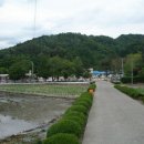 농암초등학교 이미지