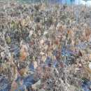 태송농장 이미지