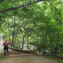 백운계곡삼부원 이미지