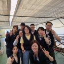 담쟁이 | [샌드아트 공연 후기] 청주 담쟁이 B·T·S, 벚꽃 엔딩과 함께 피어난 9명의 아티스트