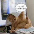 &#34;느집에 윤옥이 없지?&#34; 강릉 부윤옥에서 다시 열린 우리들의 도파민 파티 [강릉 몬민수 여행] - ep.1
