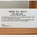 광양 봄소식(3) - 매화마을 매화문화관