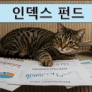 지수2(수동) 이미지
