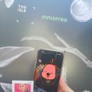 그린라이팅 이미지