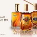 지나가는 시선까지 사로잡는 홍보 영상 | 글로벌 윈저 GS TV 홍보영상 제작 후기 [모션그래픽]