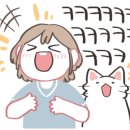 파파존스 외대경희대점 이미지