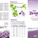 라벤더 까페 이미지