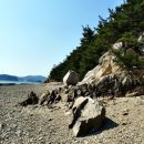 고파도해수욕장 네이버블로그