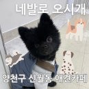 네발로오시개 이미지