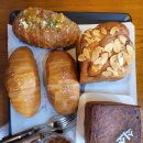 서귀포감귤정원이예쁜집 | 제주 쇠소깍빵명장 솔직후기 | 서귀포 소금빵 맛집 카약 대기하며 들리기 좋은곳 빵지순례