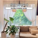 안산 고잔동 미용실 디어유어 안산고잔점 뿌리염색 후기
