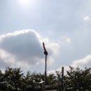 하은당