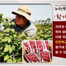 솔티농장 이미지