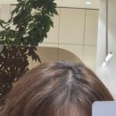 수민헤어컬러 | 여름 염색 컬러 추천! 강남역 미용실 이철헤어커커 수민 디자이너