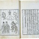 [의서/의약서] 향약구급방(고려), 향약집성방·의방유취(조선 전기), 동의보감(조선 후기)