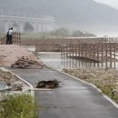 북한강 자전거도로4 이미지