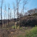 주식회사숲나무 이미지