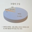 빗과가위 - 목포시 백년대로297번길 22-2 | 빗과가위