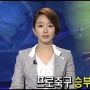 도화성 이미지