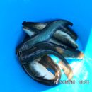 노지하우스 이미지