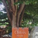 가평 끌로이스 풀빌라 독채펜션 이미지