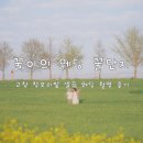 푸르른 꿀단지