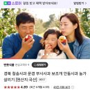 반뜻 식품 경북부사 사과 후기