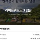 인제 캠핑장 ‘라이프위드도그’ 애견동반이 가능한 힐링 캠핑장