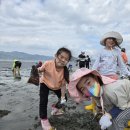 목포서산초등학교 이미지