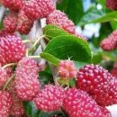 지장로27번길 이미지