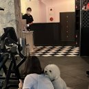 트루 휘트니스(True) 이미지