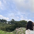 꽃내미풀꽃이랑마을 이미지