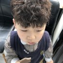 퍼니스핀 이미지