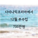 다이나믹 코리아에서 12월 부수입 735만원