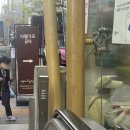 공덕 | W22. 아펠가모 공덕 홀 투어 후기