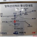 Re:여수 영취산 진달래 개화상태 이미지