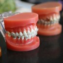 선이고운연세치과의원 이미지