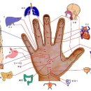 다섯손가락 이미지