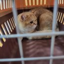 청운동물병원 이미지