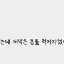 여르메 이미지