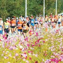 파주통일경기-파주-통일7 이미지