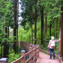 제암산휴양림화장실 이미지