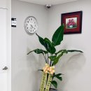 메리놀피부과의원 이미지