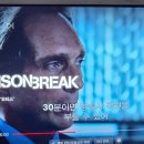나섬컴퍼니 이미지