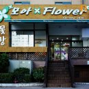 모아꽃방 이미지