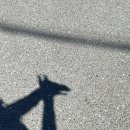 원이대로240번길 이미지