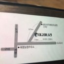 대규미나리 이미지