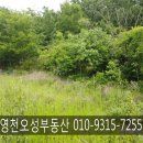 동영천IC주유소 이미지