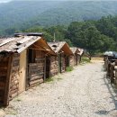 칠곡황학산휴양림 Daum카페